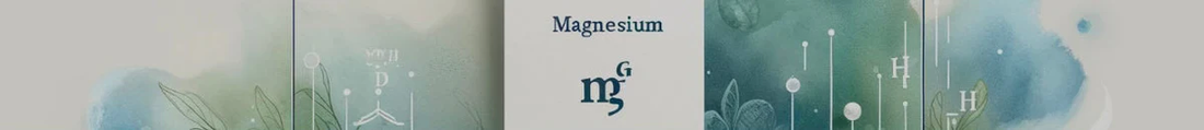 Dive into High Magnesium Bottled Waters!